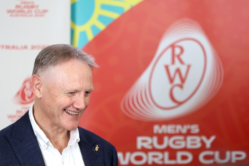 Joe Schmidt is at peace with walking away from the Wallabies and coaching after July. Photo: World Rugby