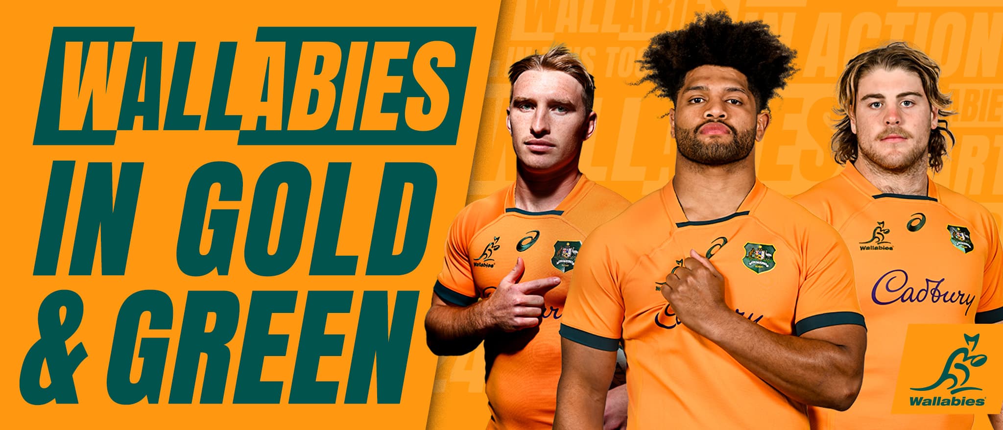 Wallabies Header